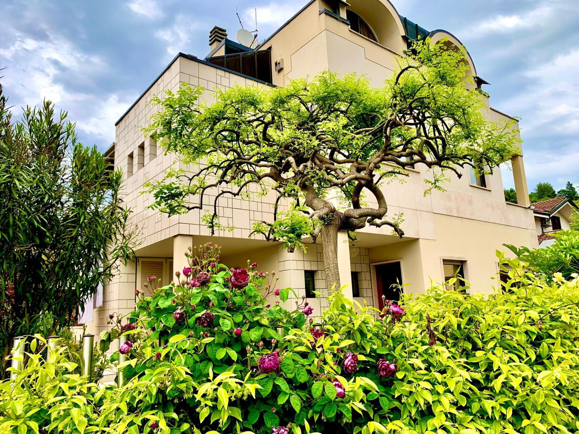 L'angolo verde apartment Moncalieri Buitenkant foto